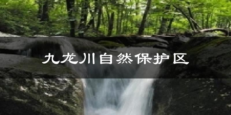 九龙川自然保护区天气未来15天