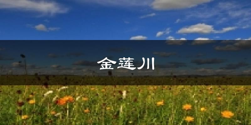 金莲川今日天气