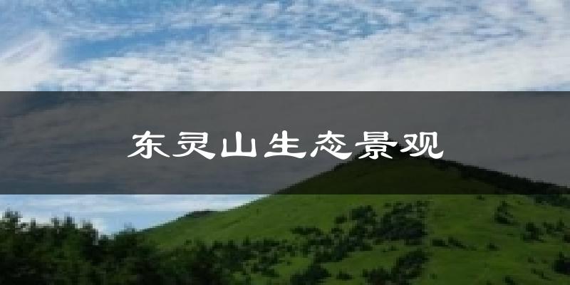 东灵山生态景观天气未来15天