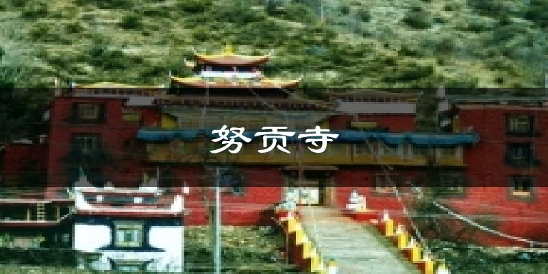 努贡寺今日天气