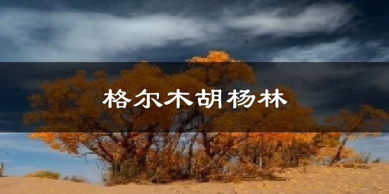 格尔木胡杨林天气未来15天