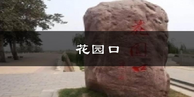 花园口天气未来15天