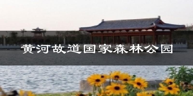 黄河故道国家森林公园天气未来15天