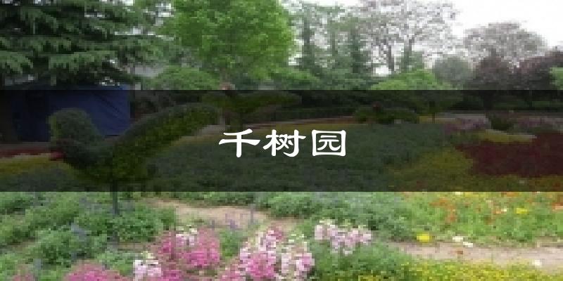 千树园天气未来15天