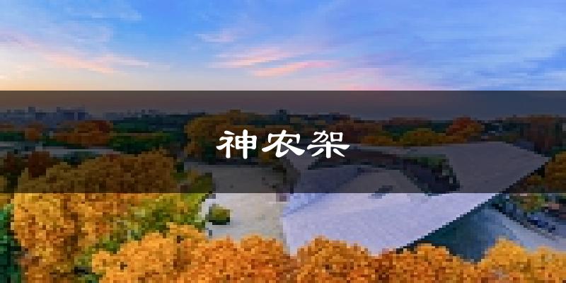 神农架天气预报未来一周