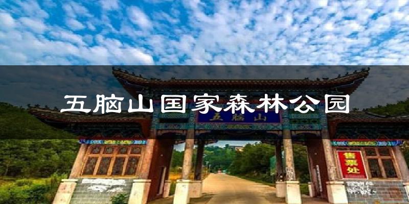 五脑山国家森林公园天气未来15天