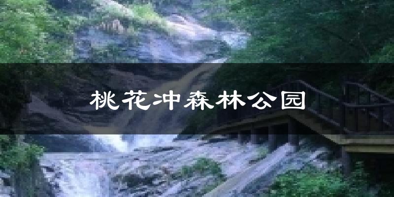桃花冲森林公园天气未来15天