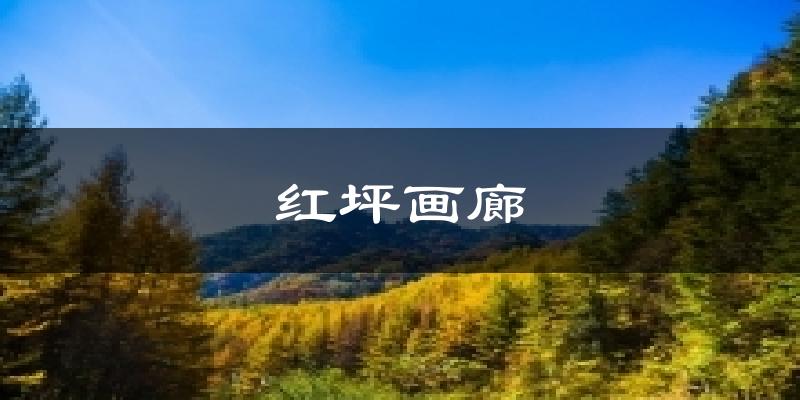 红坪画廊天气未来15天
