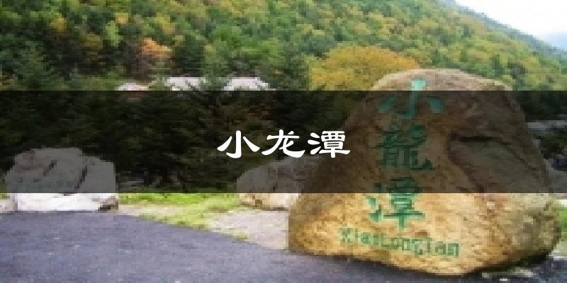 小龙潭今日天气