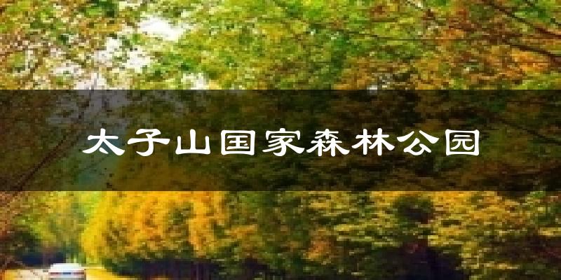 太子山国家森林公园今日天气