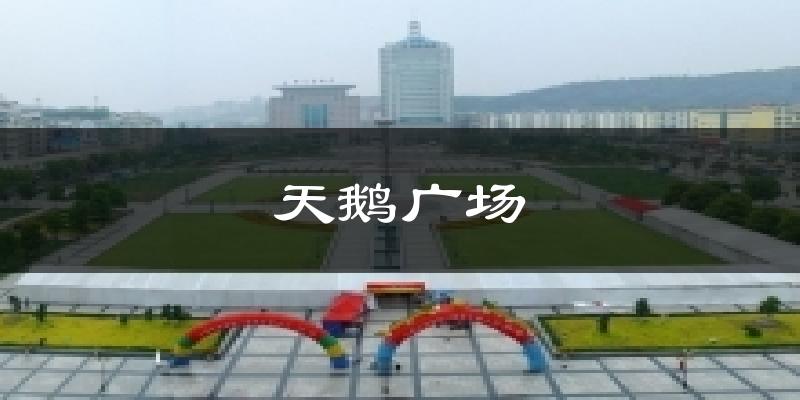 天鹅广场今日天气