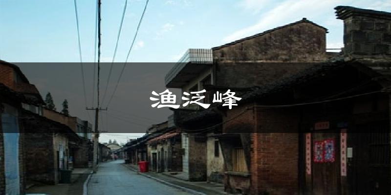 渔泛峰今日天气
