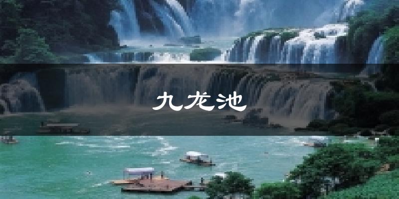 九龙池今日天气