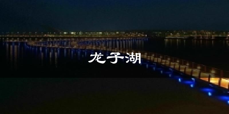 龙子湖天气未来15天