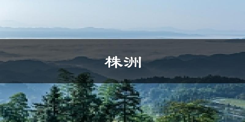 株洲天气预报未来一周