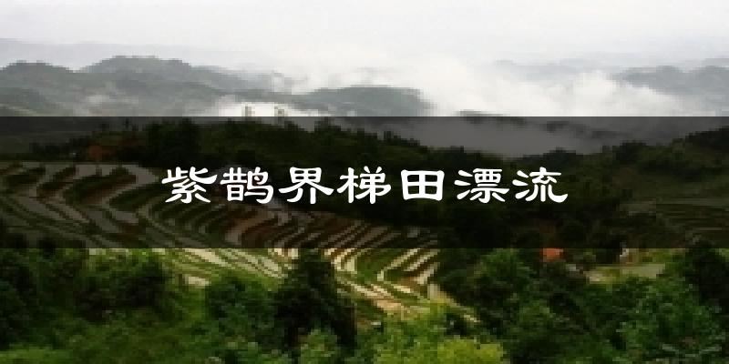 紫鹊界梯田漂流天气未来15天