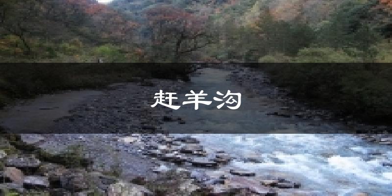 赶羊沟今日天气