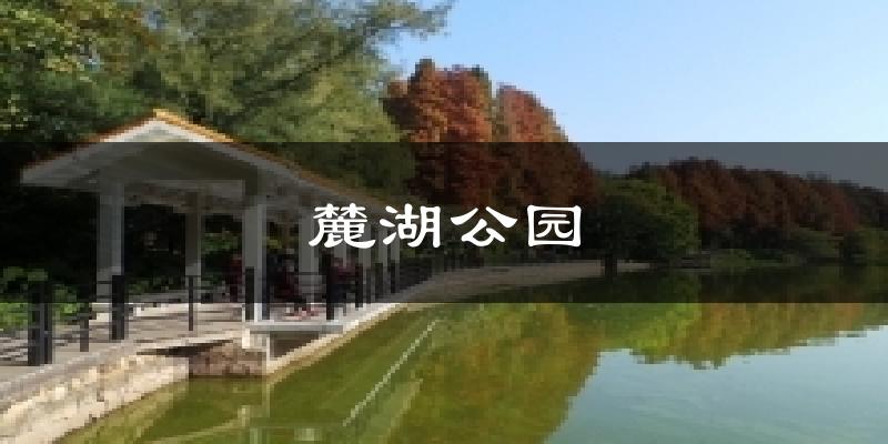 麓湖公园天气未来15天