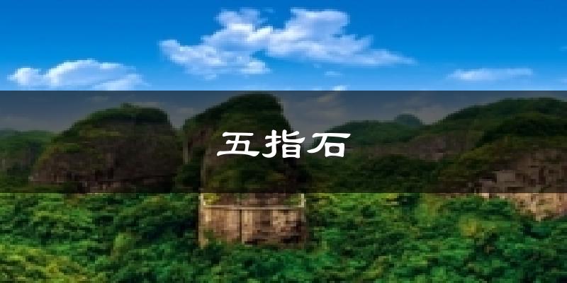 五指石今日天气