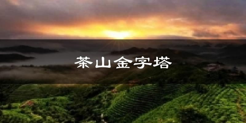 茶山金字塔今日天气