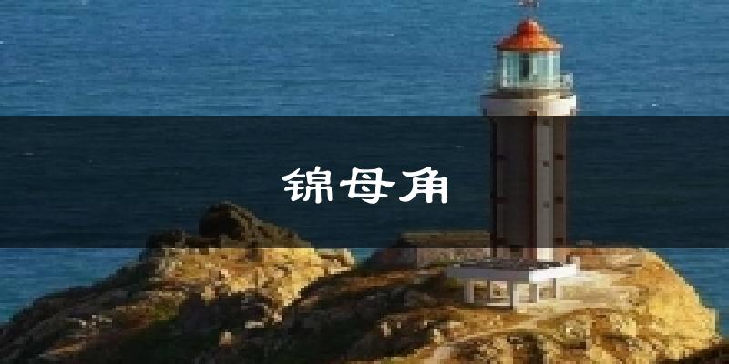 锦母角今日天气