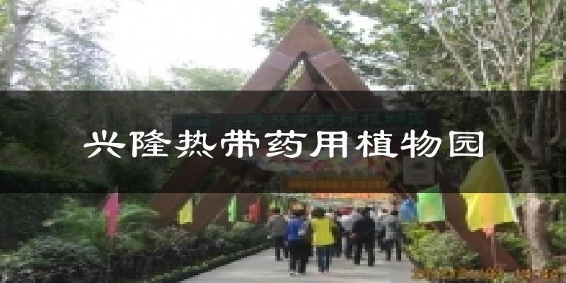 兴隆热带药用植物园今日天气