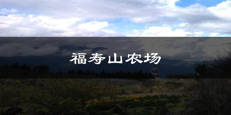 福寿山农场气温