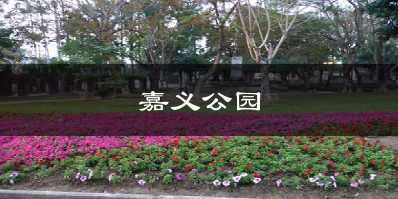 嘉义公园气温
