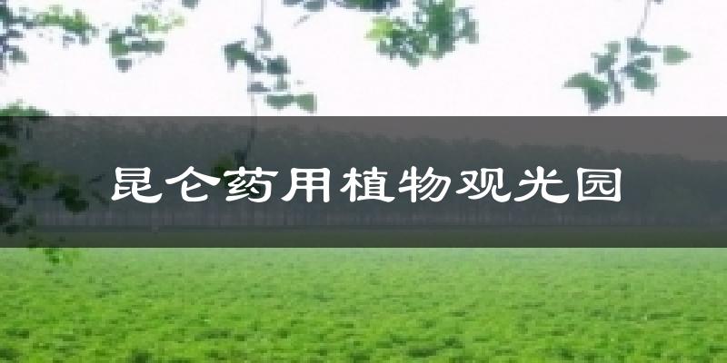 昆仑药用植物观光园气温